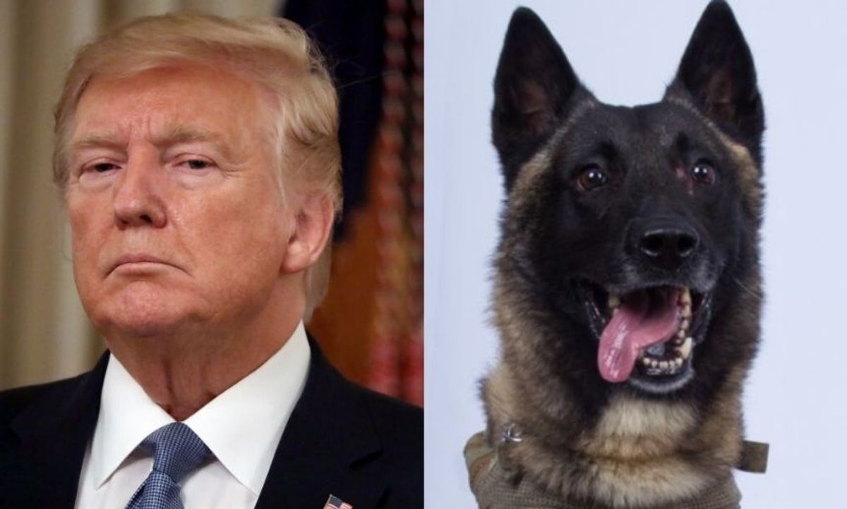 Trump Shares Bizarre Photoshopped Image Of Himself Awarding Military Dog The Medal Of Honor, Replacing Vietnam Vet