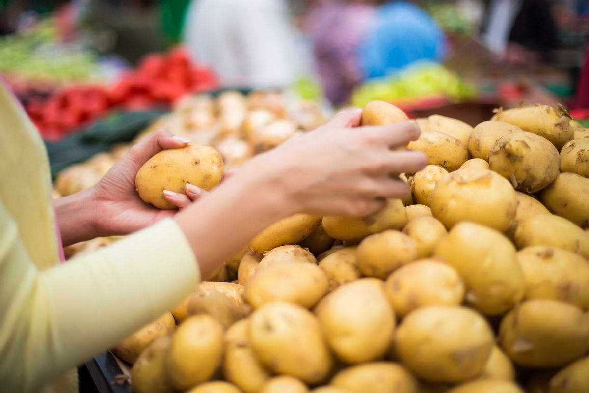 Patate africane spacciate per nostre. A giudizio in 14 per la mega truffa