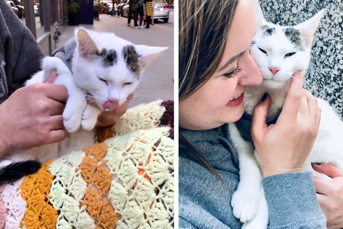 Woman Befriends Homeless Man and Kitten He Rescued from Uncertain Fate