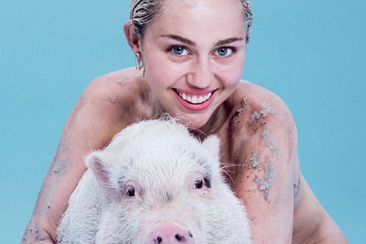 hot celebrity vegans