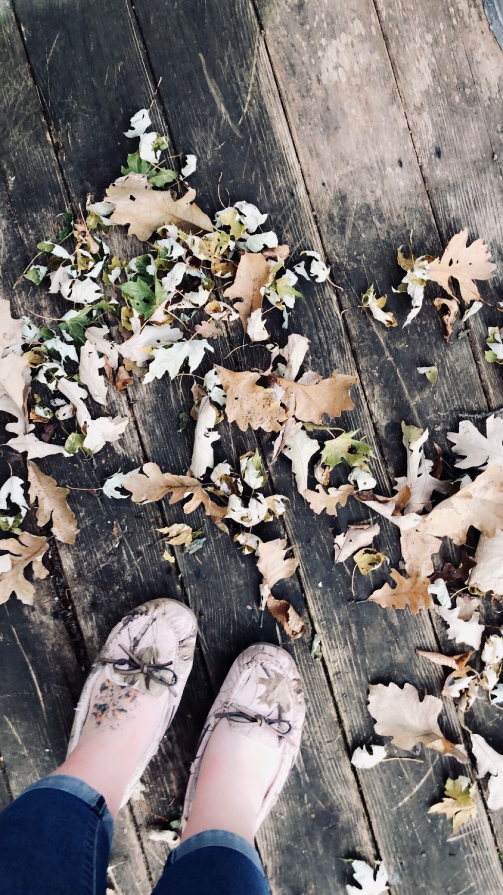 Poetry On Odyssey: Rotting Wood And Dead Leaves