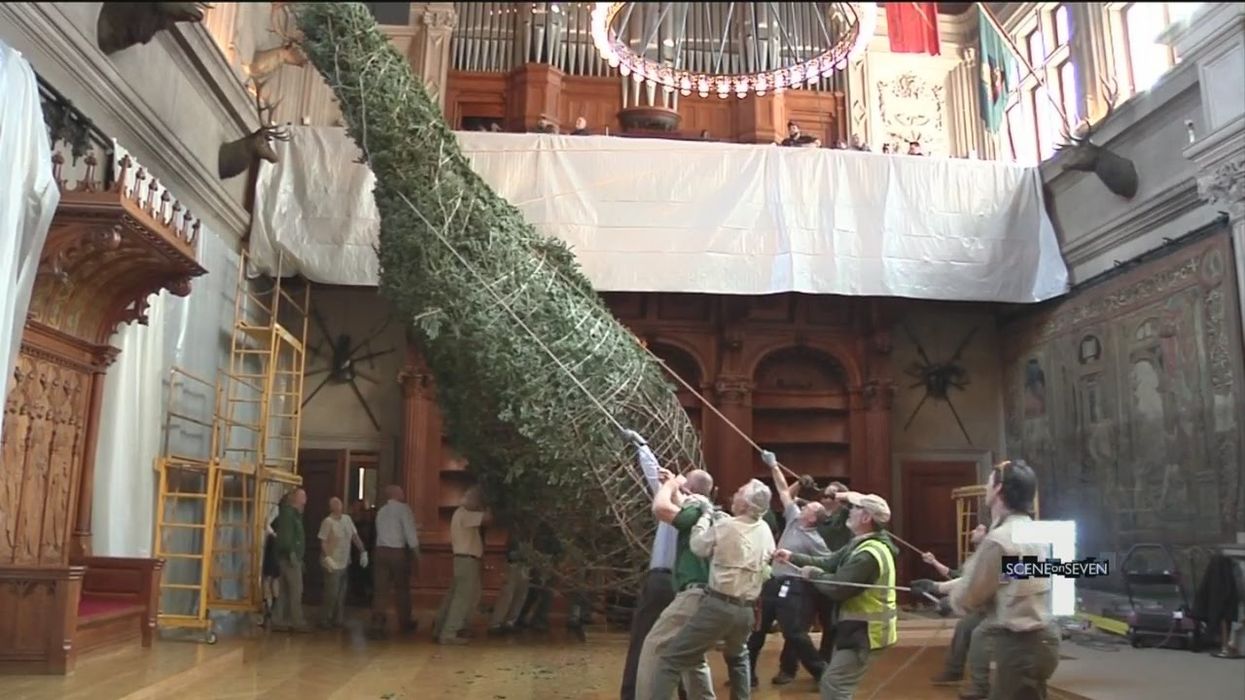 North Carolina's Biltmore Estate decorates for Christmas with 34-foot, 2,000-pound tree