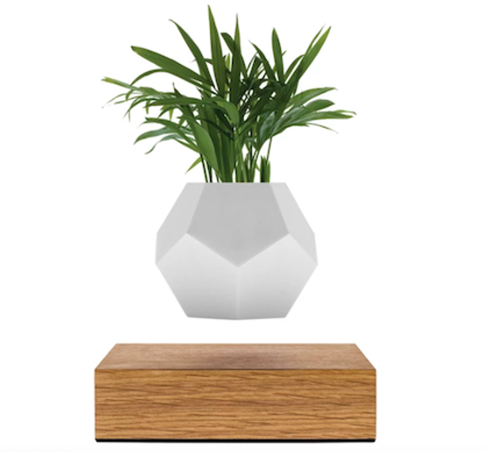 The Lyfe Floating Planter in white, with a green plant, over a wooden base
