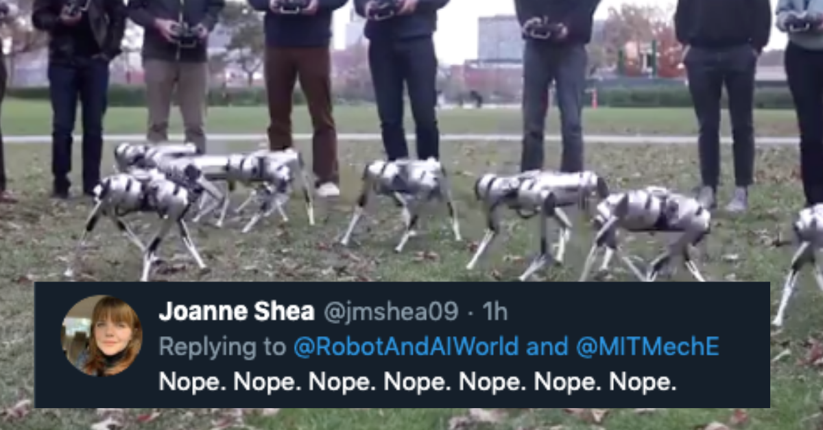 Video Of A Pack Of 'Mini Cheetah' Robots Frolicking Around And Doing Backflips Is Deeply Unsettling The Internet