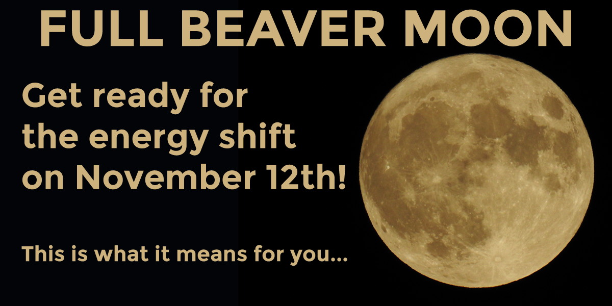 Full Beaver Moon: Get Ready For The Massive Energy Shift On November ...