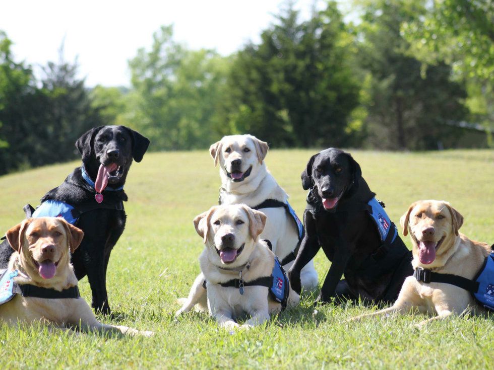 Ken Hoffman highlights a special group that unites four-legged friends with American heroes