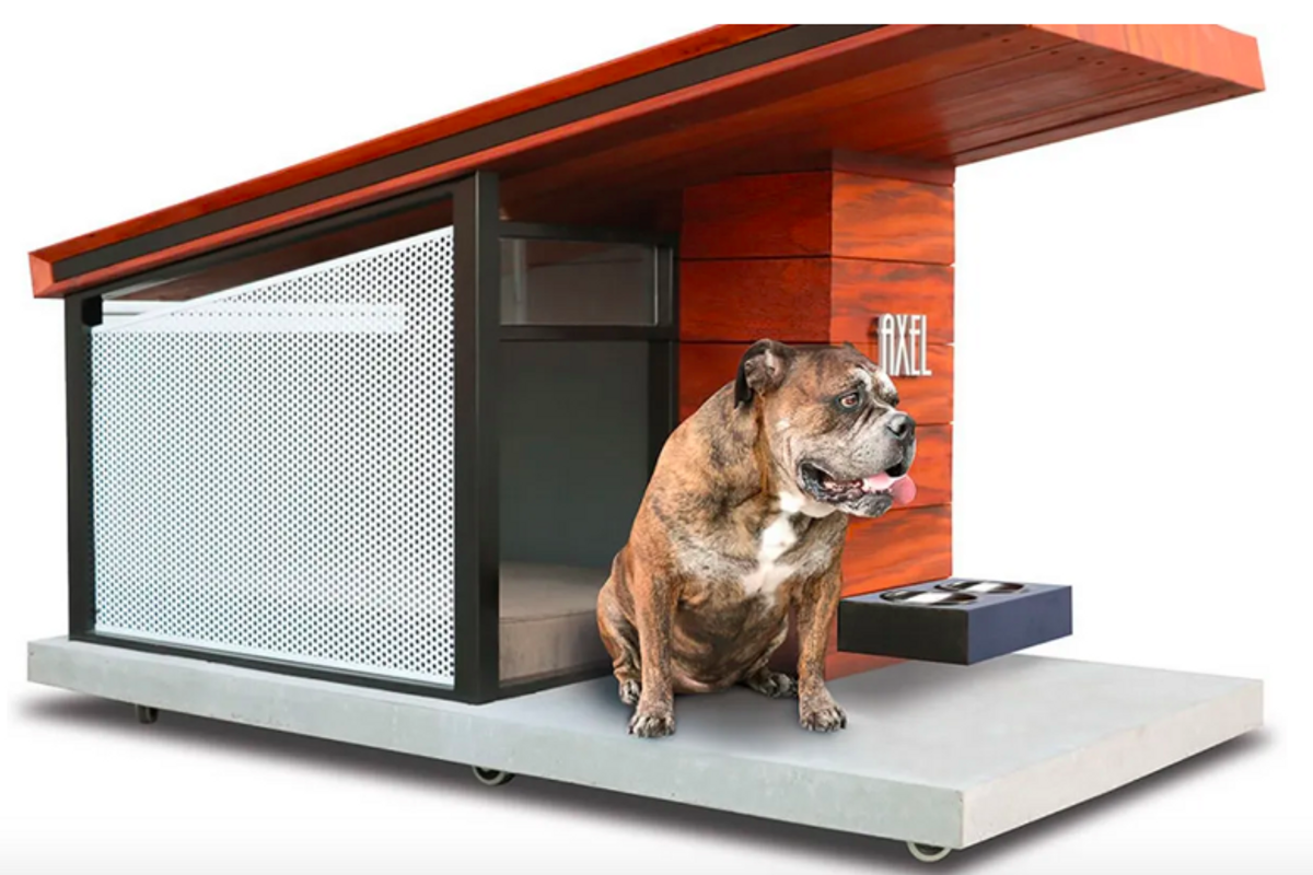 The solar condo with a dog seated on the porch