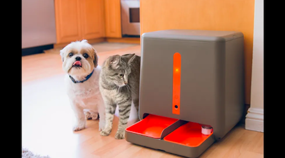 The easyFeed pet feeder with a dog and a cat next to them