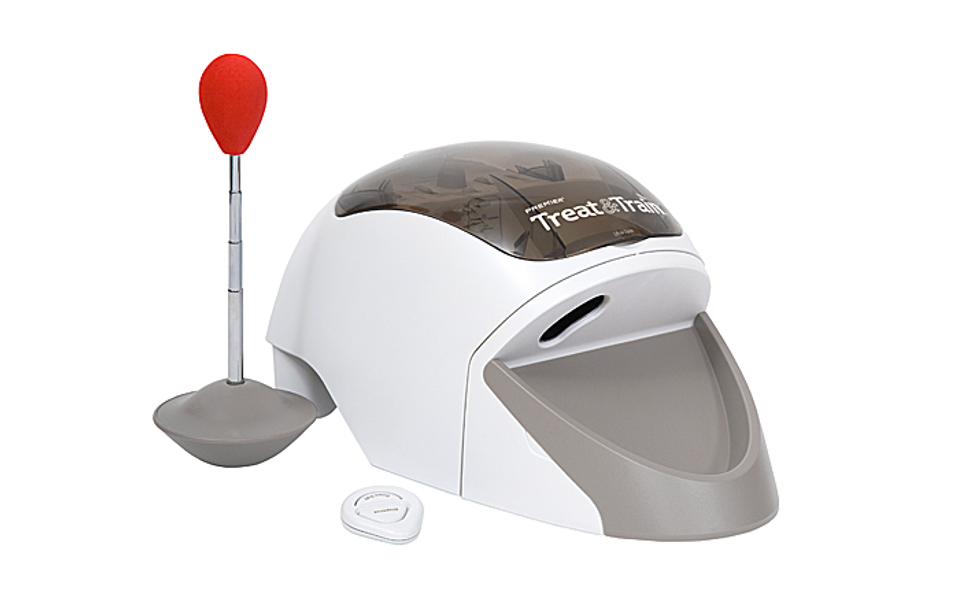 The Treat & Train dog training toy with a red remote