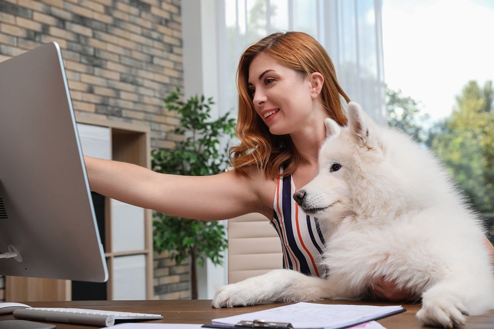 Young woman working at her desk while her dog patiently looks at her computer.