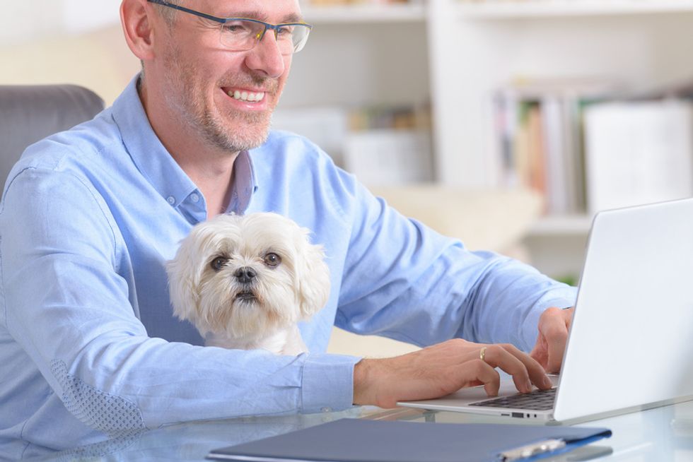Happy man working on his computer while his dog is sitting patiently on his lap.