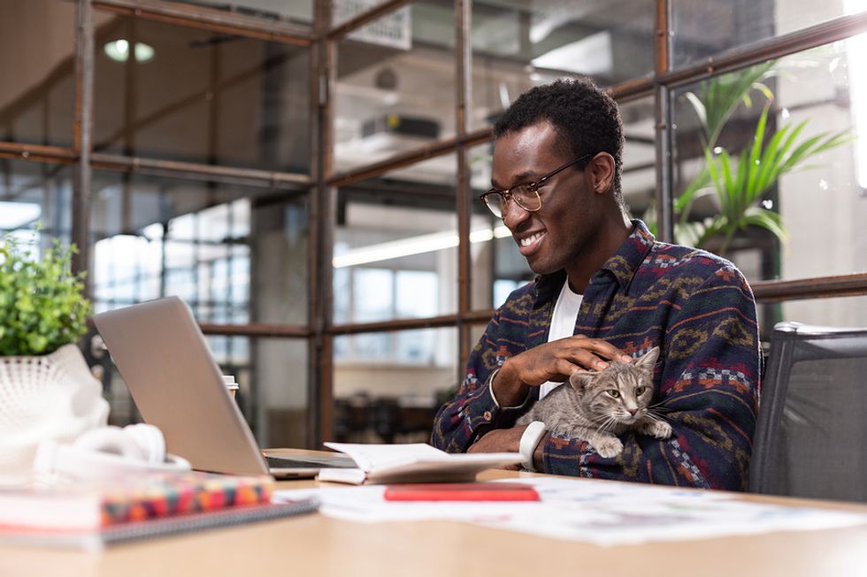 Happy young man working on his laptop at work while he pets his cat on his lap.