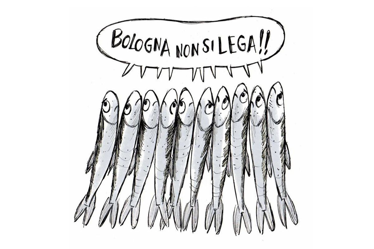 Le sardine bolognesi sanno di Mortadella