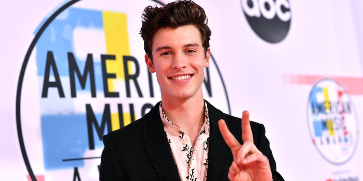 Taylor Swift Fans Come For Shawn Mendes After John Mayer Hangout