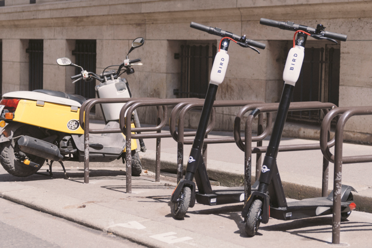 Bird electric scooters