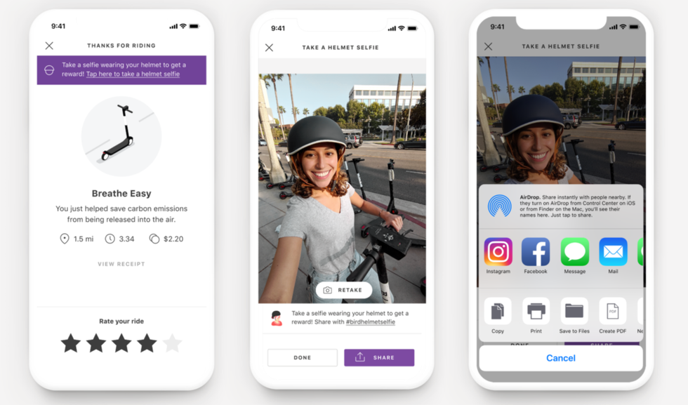 Bird Helmet Selfie campaign