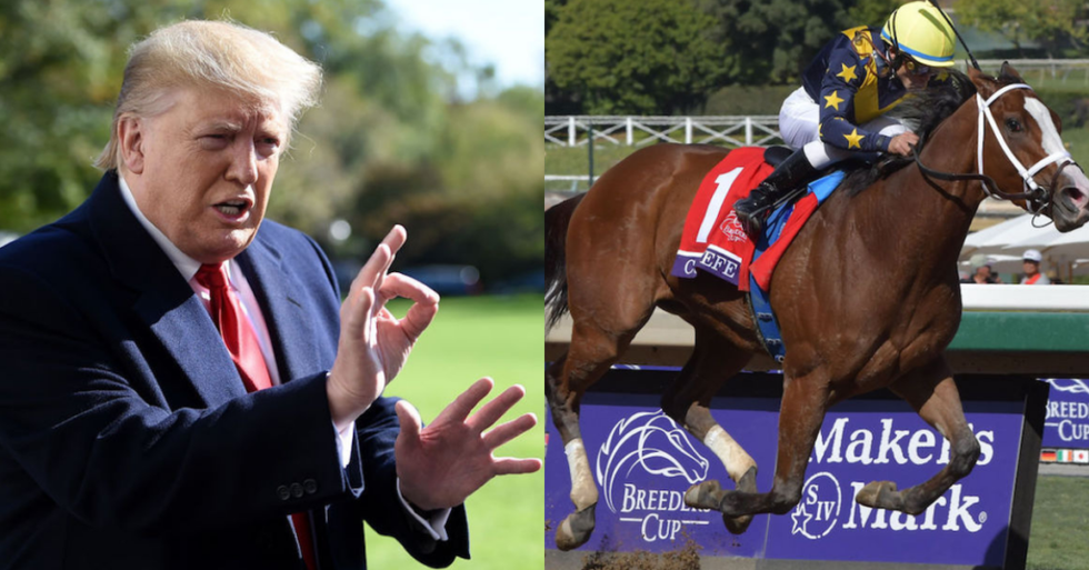 After Racehorse Named 'Covfefe' Wins a Big Race, Trump Suggests His 'Covfefe' Tweet Actually Had 'Deep Meaning' After All