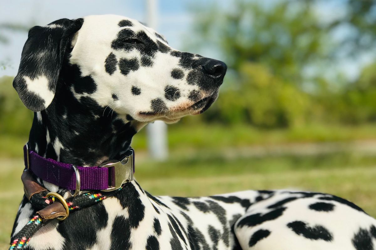 Astros scandal just the latest meaningless media frenzy, and we are all buying in