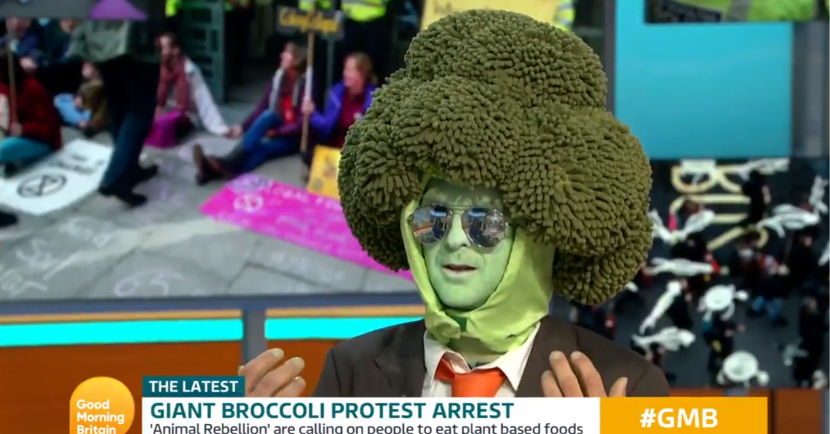 Extinction Rebellion Protester Dressed As A Broccoli Has Morning Show Hosts Scratching Their Heads During Bizarre Interview