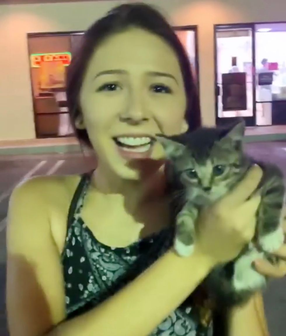 Couple Tries To Foster Kitten They Rescued But Their Cat Has A