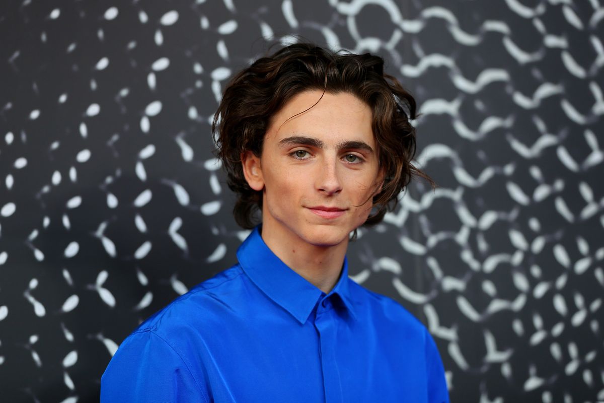 Timothee Chalamet Is Taking A Break From Acting Paper
