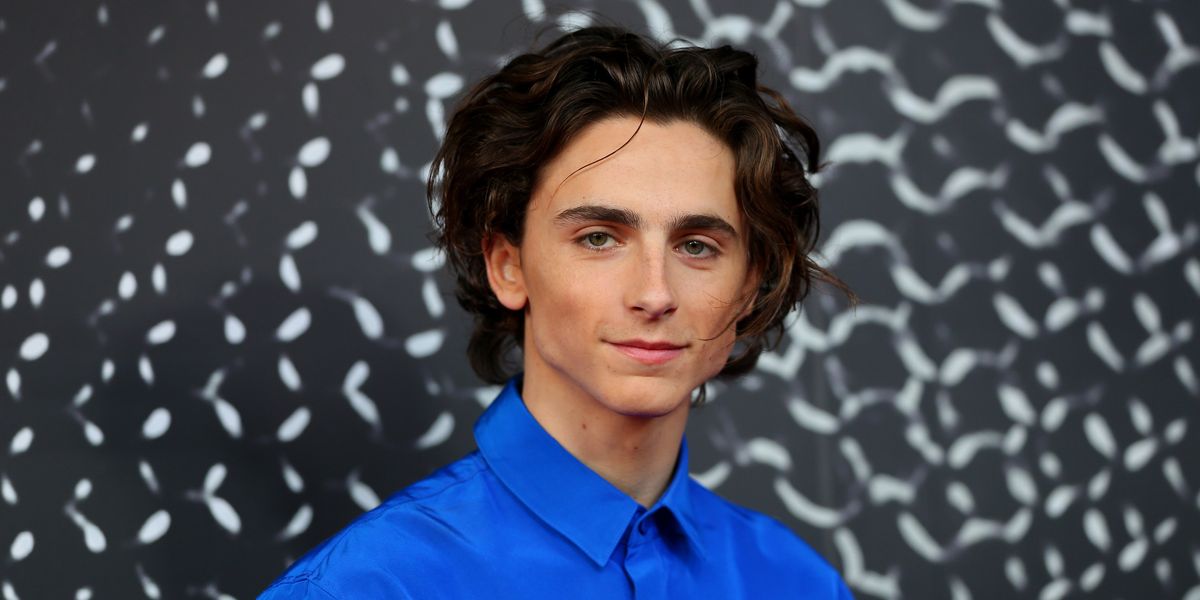 Timothée Chalamet Is Taking a Break From Acting