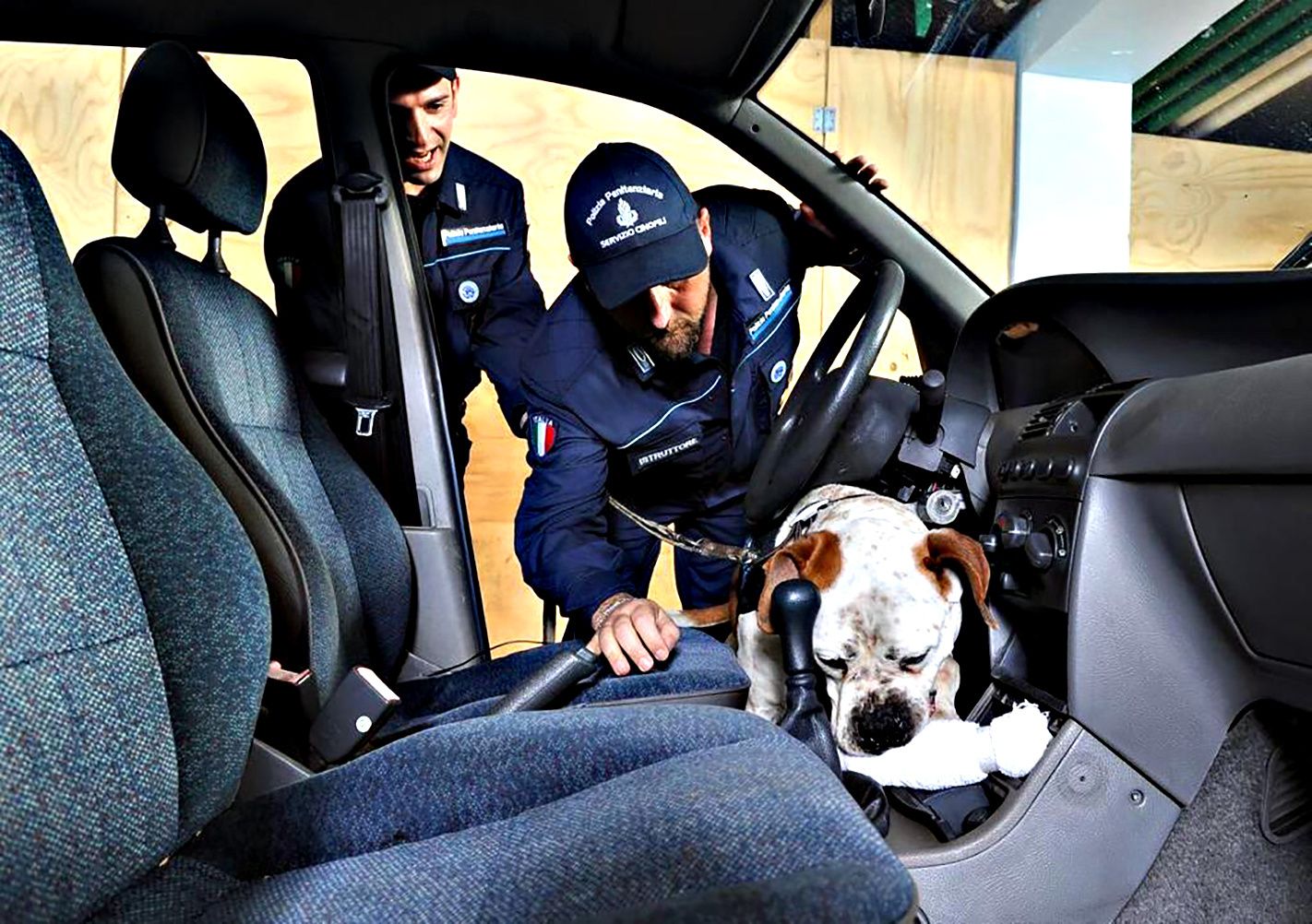 «Con 8 mesi di corso i cani abbandonati diventano poliziotti»