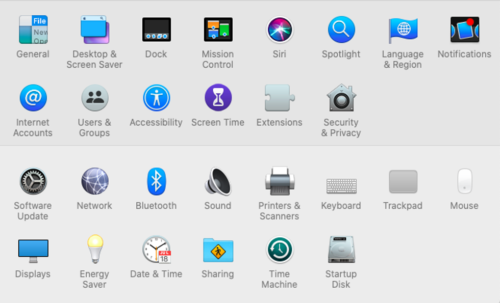 A screenshot of System Preferences open on macOS 10.15, Catalina