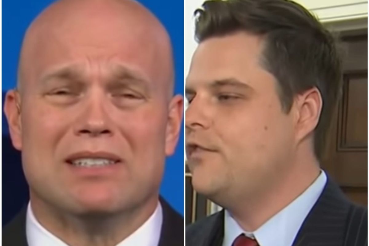 Matt Gaetz And Meatball Have Stepping On Rakes Contest. The Rakes Win.
