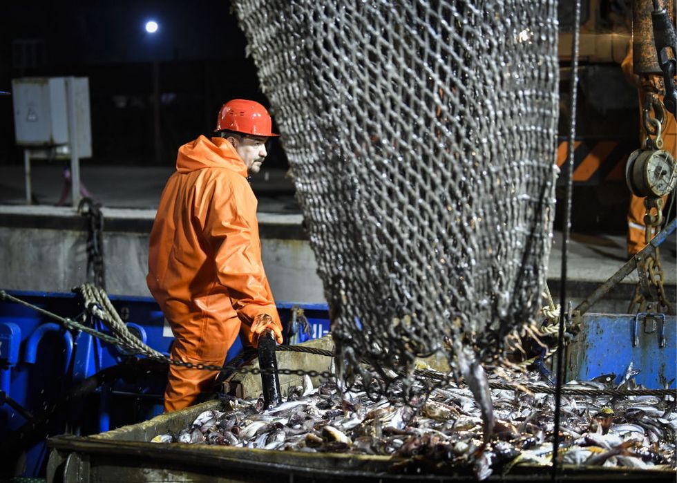 Climate Change Is Driving Global Conflicts Over Dwindling Fish Supplies