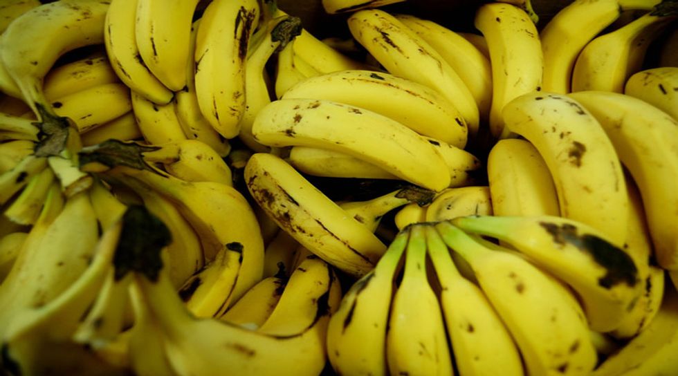 Bananas Are Going Extinct and Here’s Why.