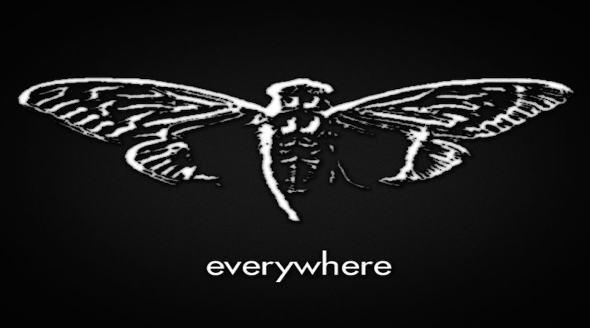 Cicada 3301: CIA recruitment game, or the Internet's Greatest Practical Joke?