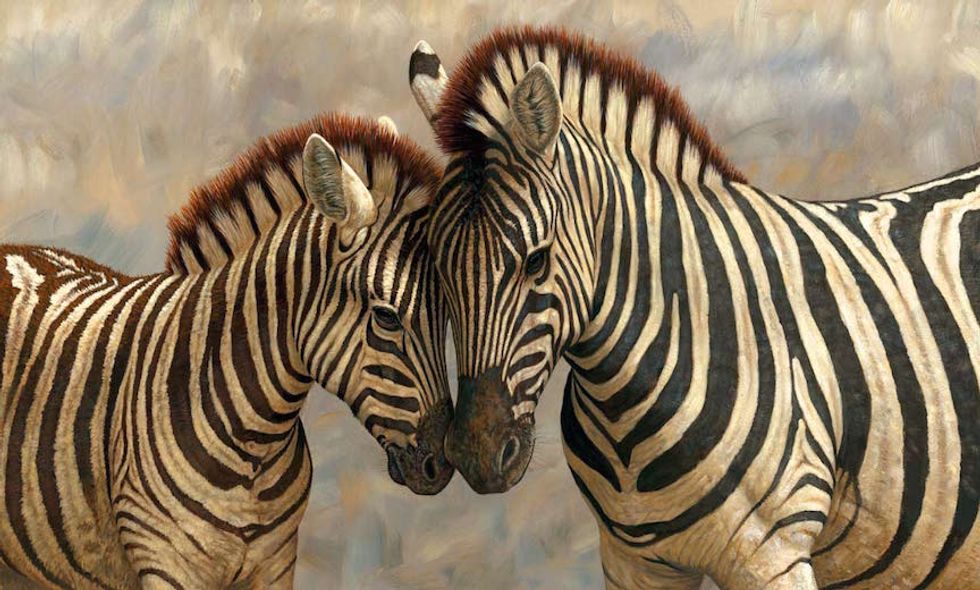 Extinct Zebra Brought Back from the Dead