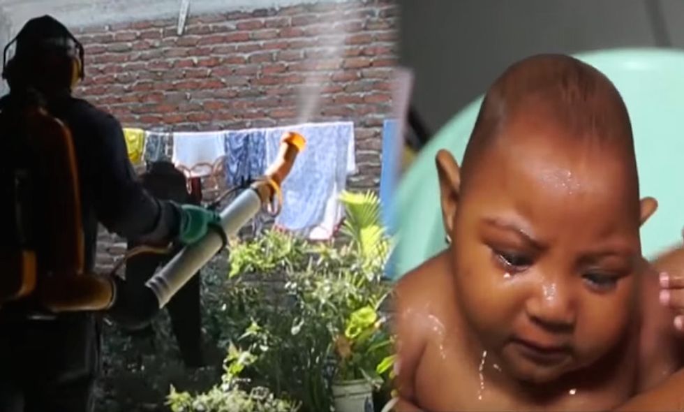 Zika Virus Not to Blame? South American Doctors Groups Propose Man-Made Cause For Birth Defect Epidemic