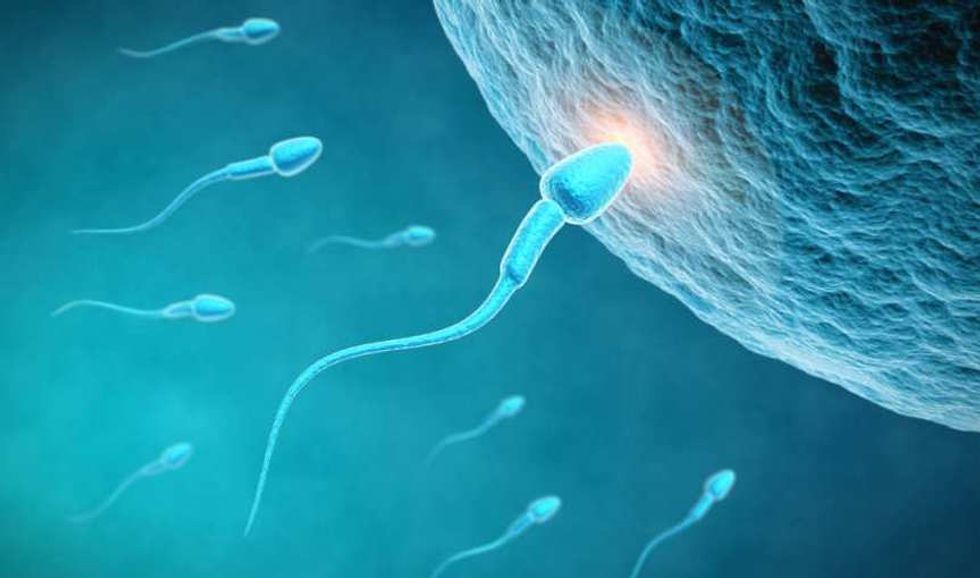 Researchers Uncover a Mystery At Moment of Conception, Giving New Hope to Infertile Couples