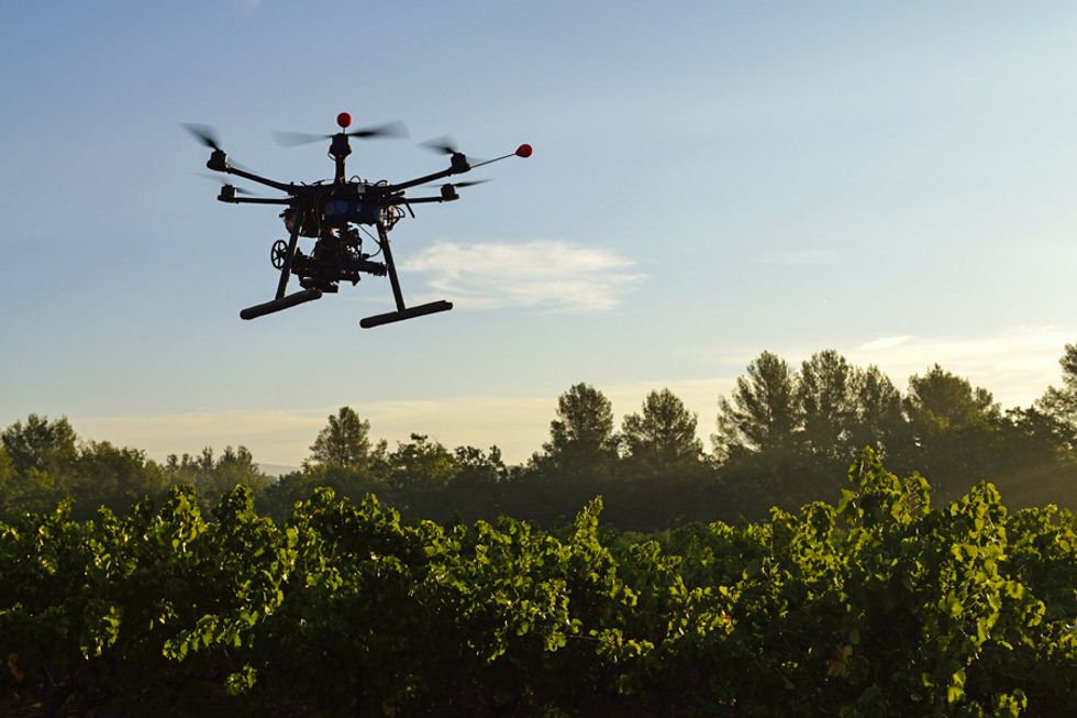 Drones Could Save the Planet, One Tree at a Time