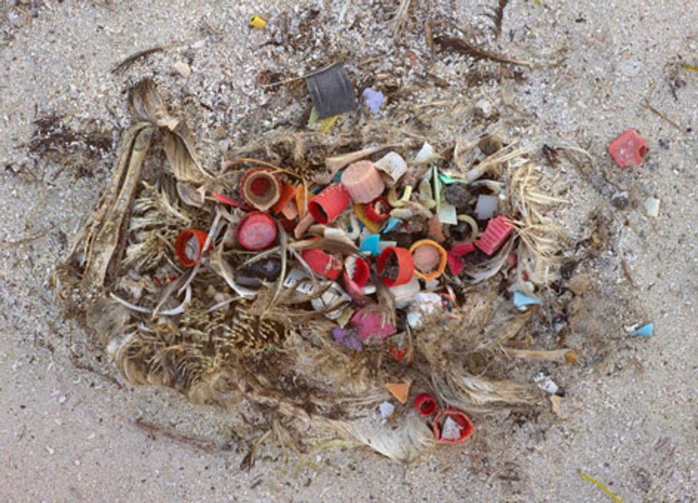 The Great Pacific Garbage Patch is Huge… And Growing