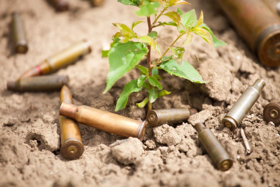 The US Army Wants Biodegradable Ammunition
