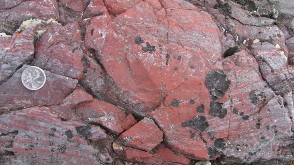 Fossil Discovery Shatters Record for Oldest Evidence of Life
