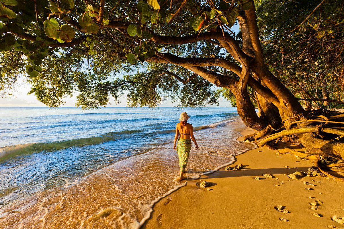 Viaggi con meditazione di lusso: 3.000 euro per fare yoga a Barbados
