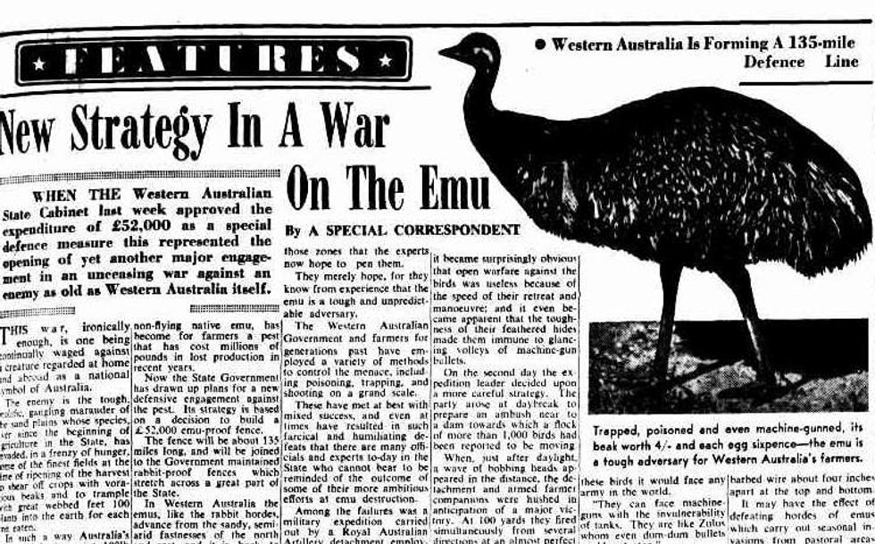 Humans, Armed with Rifles, Still Lost the Great Emu War of 1932