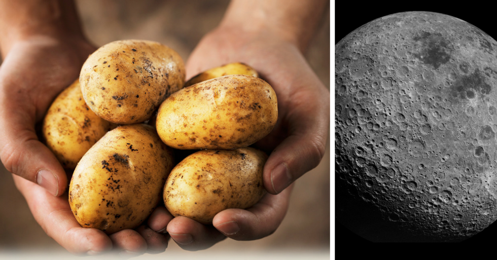 Can You Grow Potatoes on the Moon? Chinese Astronauts Are Going To Try