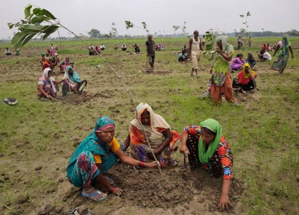 Fighting Climate Change: 66 Million Trees Planted in 12 Hours