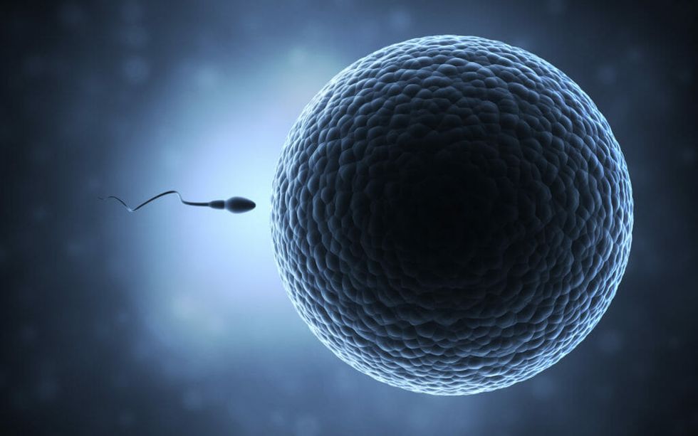 New Study Finds Sperm Counts Dropping Throughout The Western World