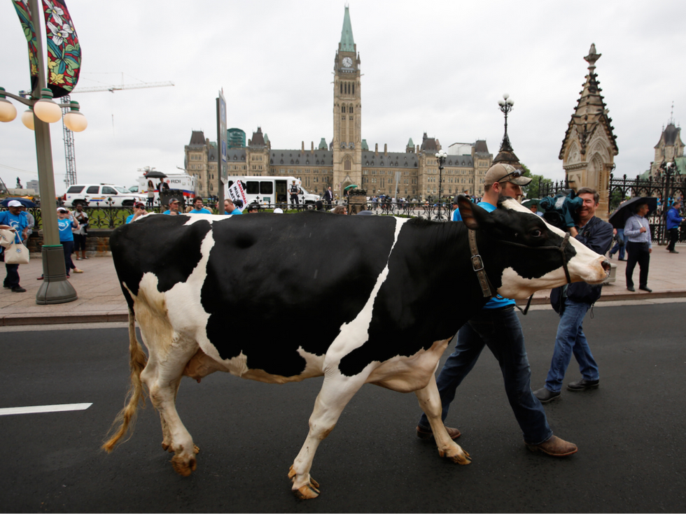 Canada Seeks To Eliminate Dairy As A Food Group