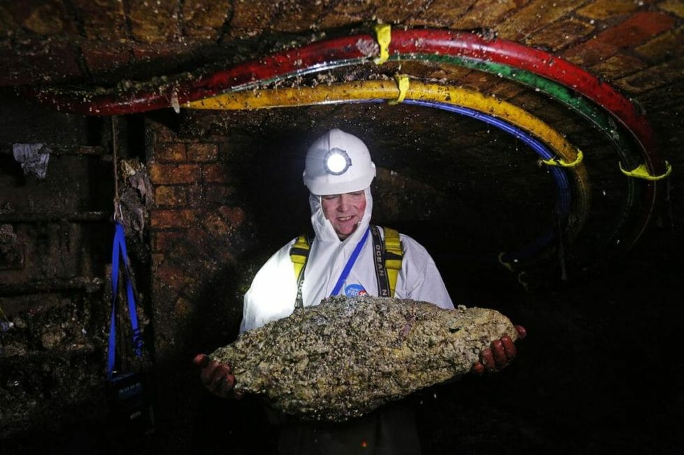Great Gray Globs of Fat Are Lurking in Our Sewers