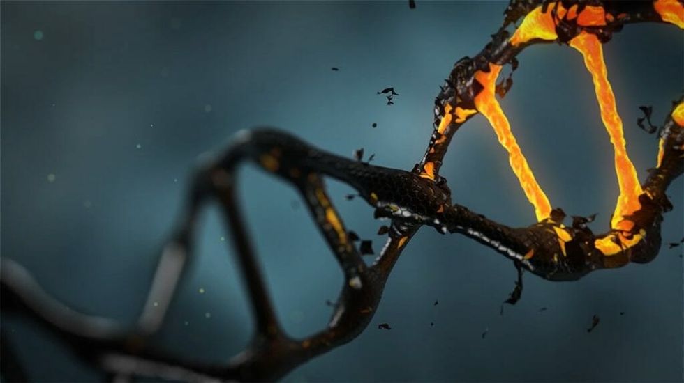 Only 92% of Our DNA Is Human