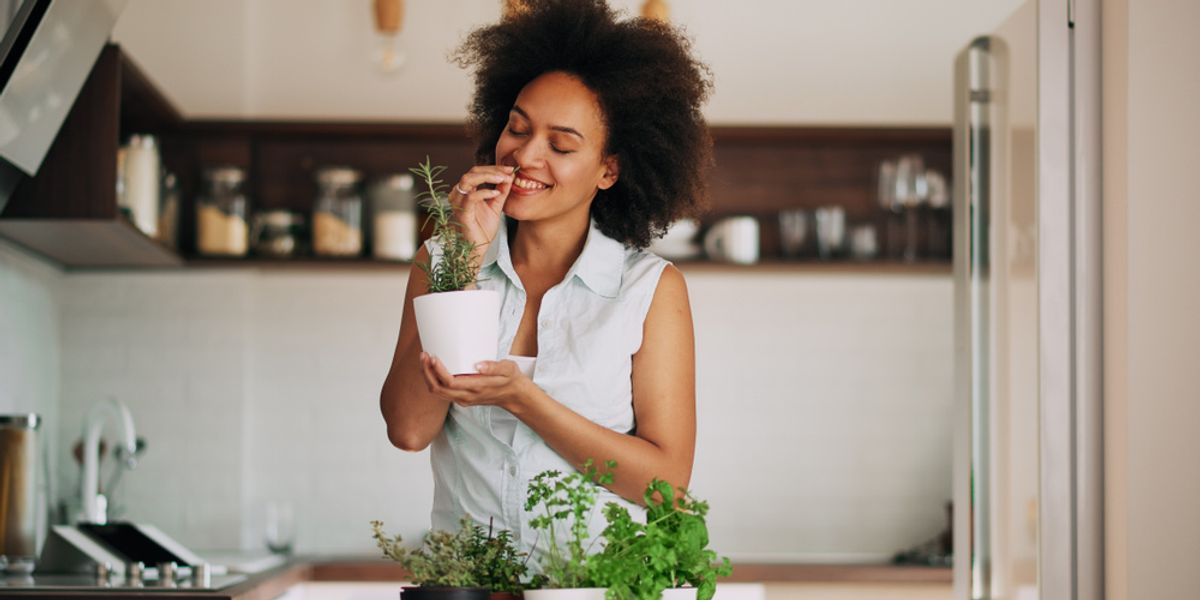 Everything You Need To Know About Adaptogens