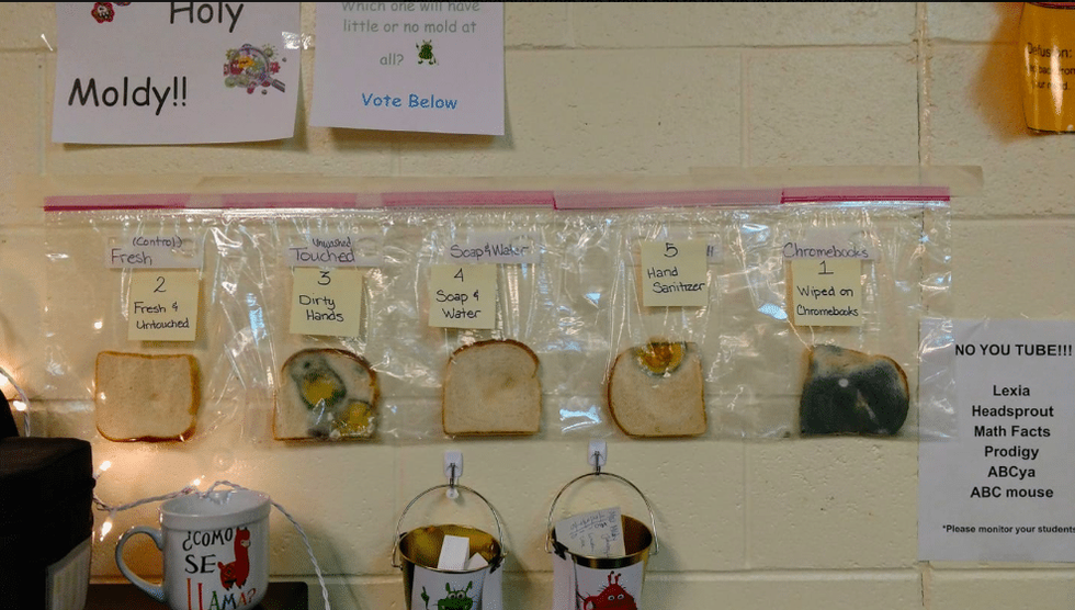 One teacher's simple (and disgusting) experiment drives home the importance of hand washing