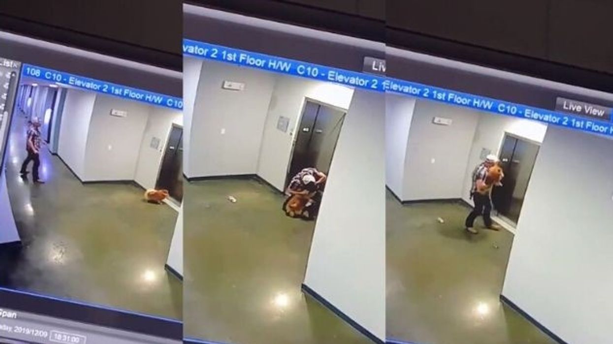 Watch Texas man save a dog after its leash gets shut in rising elevator doors
